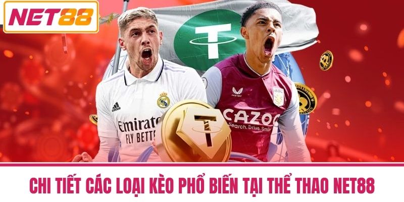 Thể Thao NET88 2 Chi Tiết Các Loại Kèo Phổ Biến Tại Thể Thao NET88